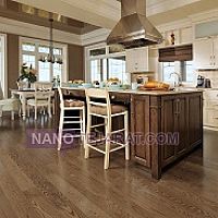 پارکتلمینت پارکتلمینت